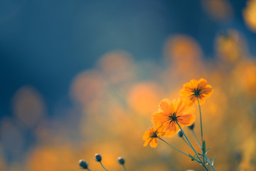 二手苹果笔记本macbook卖多少钱