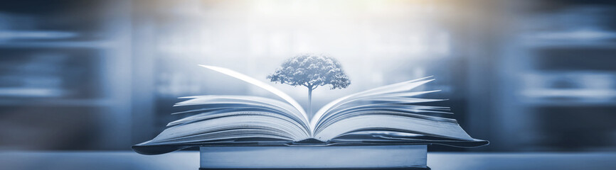 交通事故中的主次责任怎么划分比例