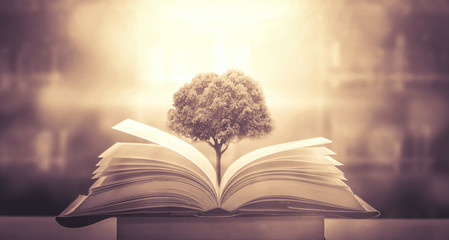 在昆明地区配置2000-2500的电脑能玩魔兽世界就好