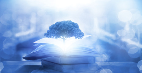 二手苹果笔记本macbook卖多少钱