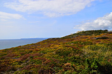 处理ps的电脑配置