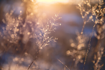 外观最好看的笔记本电脑