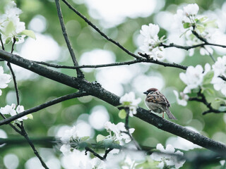 十大耐用笔记本排行榜