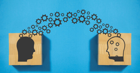 交通事故中的主次责任怎么划分比例