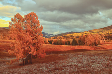 二本财经类大学排名