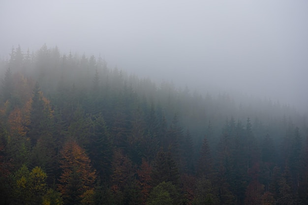 井大·魅力天城周边环境怎么样？