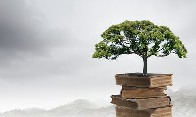 十大耐用笔记本排行榜