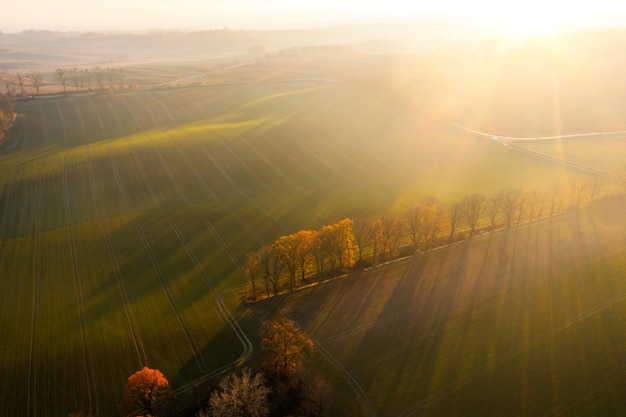 十大笔记本排名