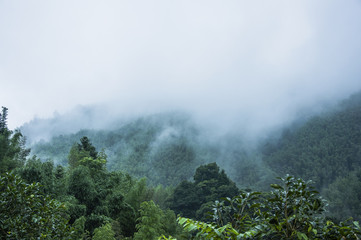 二本财经类大学排名